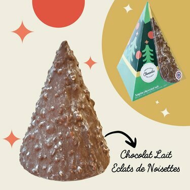 Sapin enneig&eacute; de No&euml;l