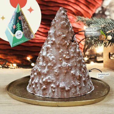 Sapin enneig&eacute; de No&euml;l